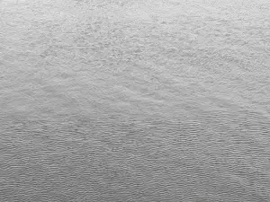 Jacquelien 03 1000den golfjes